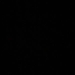 Meet your Posher, Annika